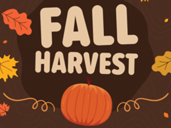 Fall Harvest with illustration of fall leaves and a pumpkin