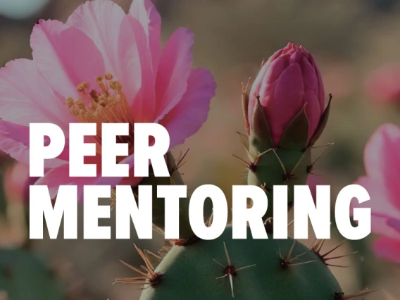 Peer Mentoring in white text on top of a photo of a pink prickly pear blooming flower