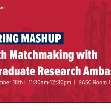 Mentoring Mashup: Research Matchmaking with Undergraduate Research Ambassadors